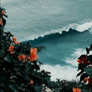 Meet your Posher, Eunice